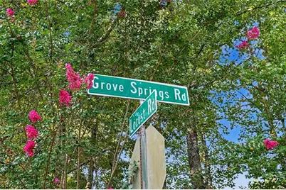 0 Locust Road, Locust Grove, GA 30248 - Photo 36