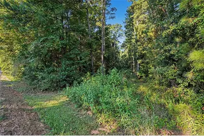 0 Locust Road, Locust Grove, GA 30248 - Photo 18
