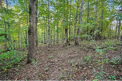 0 Locust Road, Locust Grove, GA 30248 - Photo 4
