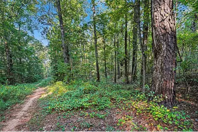 0 Locust Road, Locust Grove, GA 30248 - Photo 14