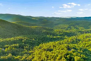 252 Wild Turkey Bluff, Jasper, GA 30143 - Photo 64