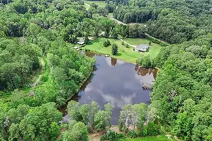 96 Whites Pond Rd, Moreland, GA 30259 - Photo 46