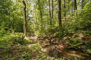 469 N Lake Dr, Ellijay, GA 30536 - Photo 62