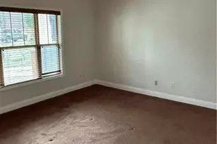 16 Plum Blossom Ln, Hampton, GA 30228 - Photo 30