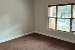 16 Plum Blossom Ln, Hampton, GA 30228 - Photo 28