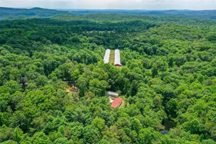 1010 Painter Rd, Talking Rock, GA 30175 - Photo 10