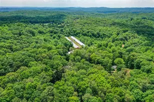 1010 Painter Rd, Talking Rock, GA 30175 - Photo 26