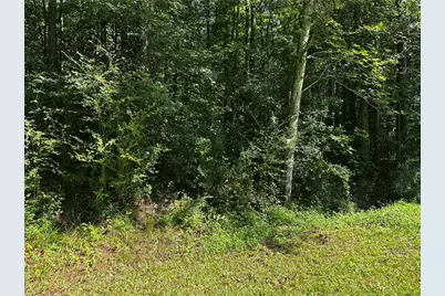 00 Overbrook Drive, Temple, GA 30179 - Photo 2