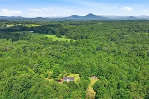 320 Durable Dr, Demorest, GA 30535 - Photo 34