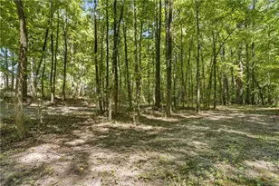 1611 Lake View Ct, Loganville, GA 30052 - Photo 80