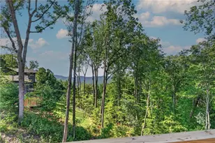 750 Settler's Ridge Rd, Ellijay, GA 30540 - Photo 72