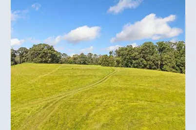 187 Long Road, Ball Ground, GA 30107 - Photo 6