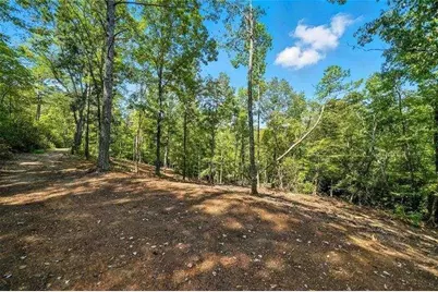 0 Debord Drive, Waleska, GA 30183 - Photo 6