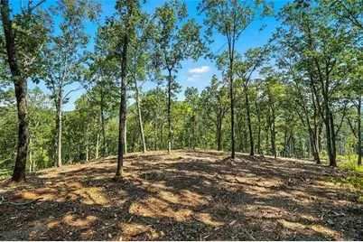 0 Debord Drive, Waleska, GA 30183 - Photo 2