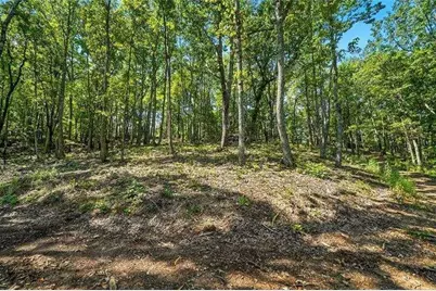 0 Debord Drive, Waleska, GA 30183 - Photo 28