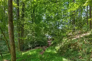 1965 Hwy 52 E, Ellijay, GA 30536 - Photo 26