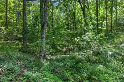1965 Highway 52 E, Ellijay, GA 30536 - Photo 24