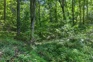 1965 Hwy 52 E, Ellijay, GA 30536 - Photo 24