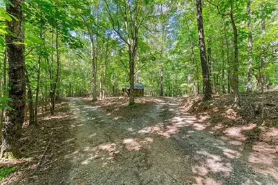 901 Peachtree Cove, Demorest, GA 30535 - Photo 10