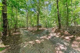 901 Peachtree Cove, Demorest, GA 30535 - Photo 10