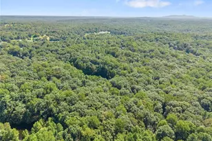 901 Peachtree Cove, Demorest, GA 30535 - Photo 26