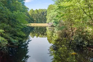 901 Peachtree Cove, Demorest, GA 30535 - Photo 2
