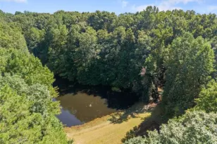 901 Peachtree Cove, Demorest, GA 30535 - Photo 14