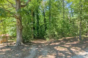 901 Peachtree Cove, Demorest, GA 30535 - Photo 8