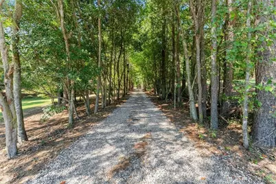 901 Peachtree Cove, Demorest, GA 30535 - Photo 6