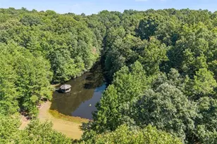 901 Peachtree Cove, Demorest, GA 30535 - Photo 20