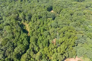 901 Peachtree Cove, Demorest, GA 30535 - Photo 24