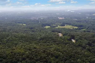 2590 Bettis Tribble Gap Rd, Cumming, GA 30040 - Photo 62