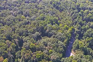 2590 Bettis Tribble Gap Rd, Cumming, GA 30040 - Photo 58