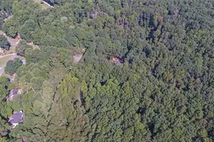 2590 Bettis Tribble Gap Rd, Cumming, GA 30040 - Photo 66