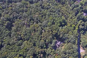 2590 Bettis Tribble Gap Rd, Cumming, GA 30040 - Photo 60