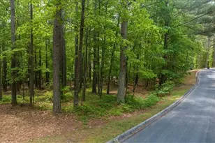0 Golden Delicious Rd, Clarkesville, GA 30523 - Photo 1