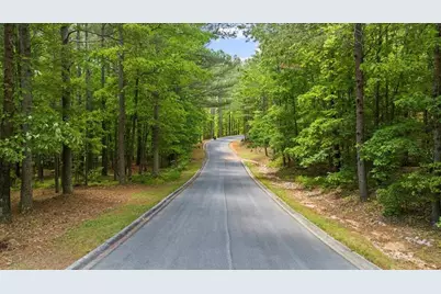 0 Golden Delicious Road, Clarkesville, GA 30523 - Photo 4