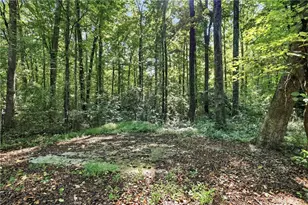 342 Stonington Dr, Mount Airy, GA 30563 - Photo 58