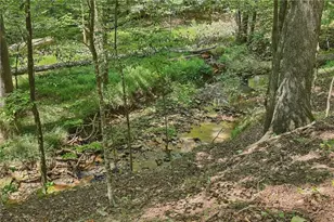 1390 Rogers Mill Ln, Cumming, GA 30041 - Photo 54