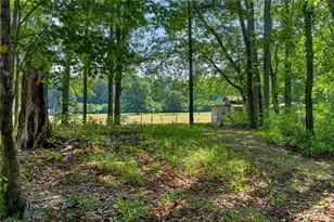 961 Birdie Rd, Griffin, GA 30223 - Photo 82