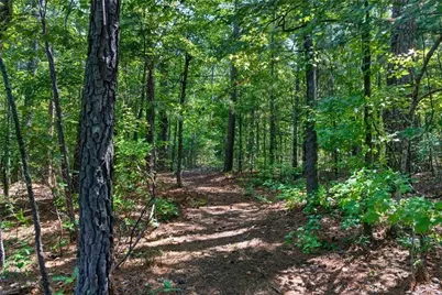 961 Birdie Road, Griffin, GA 30223 - Photo 86