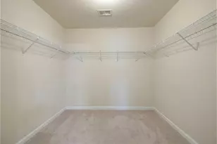 346 Lamont Ln, Hampton, GA 30228 - Photo 32
