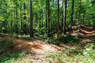 103 Cathy Cir, Carrollton, GA 30117 - Photo 52