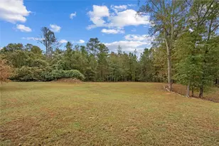 1003 Milligan Creek Rd, Roopville, GA 30170 - Photo 28