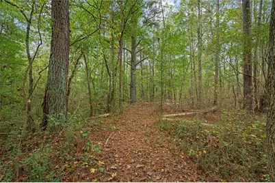 1003 Milligan Creek Road, Roopville, GA 30170 - Photo 34