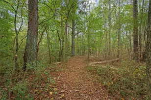 1003 Milligan Creek Rd, Roopville, GA 30170 - Photo 34