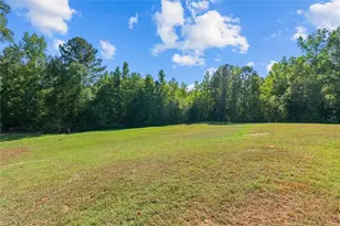 1003 Milligan Creek Rd, Roopville, GA 30170 - Photo 42