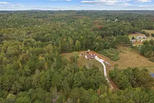 1003 Milligan Creek Rd, Roopville, GA 30170 - Photo 36