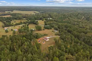 1003 Milligan Creek Rd, Roopville, GA 30170 - Photo 38