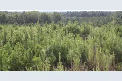0 Balerma Church Road, Sparta, GA 31087 - Photo 2